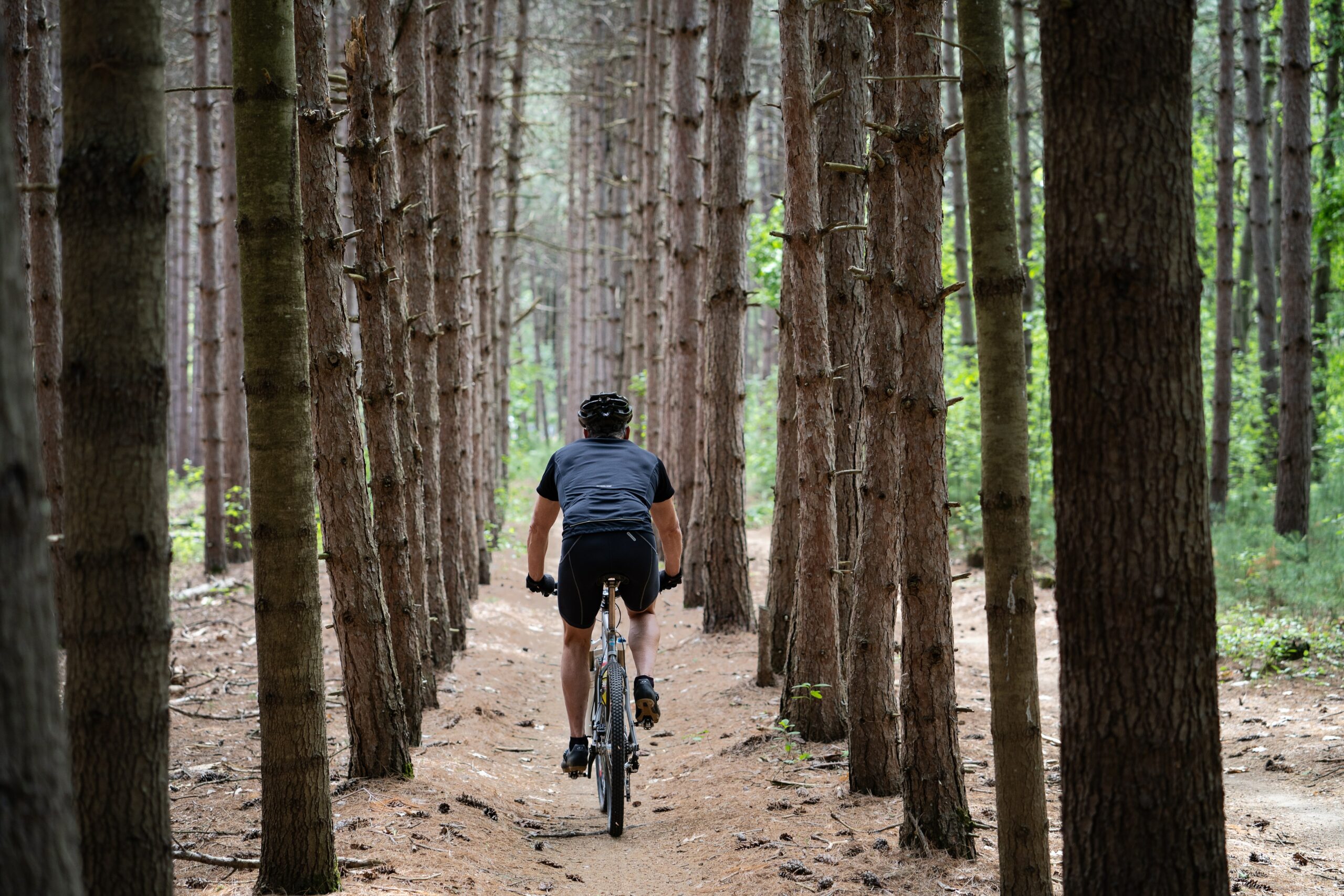promenade en vélo dans la forêt
